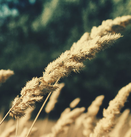 在线短信电话轰炸机