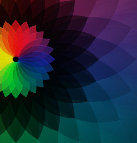 网页版手机号攻击